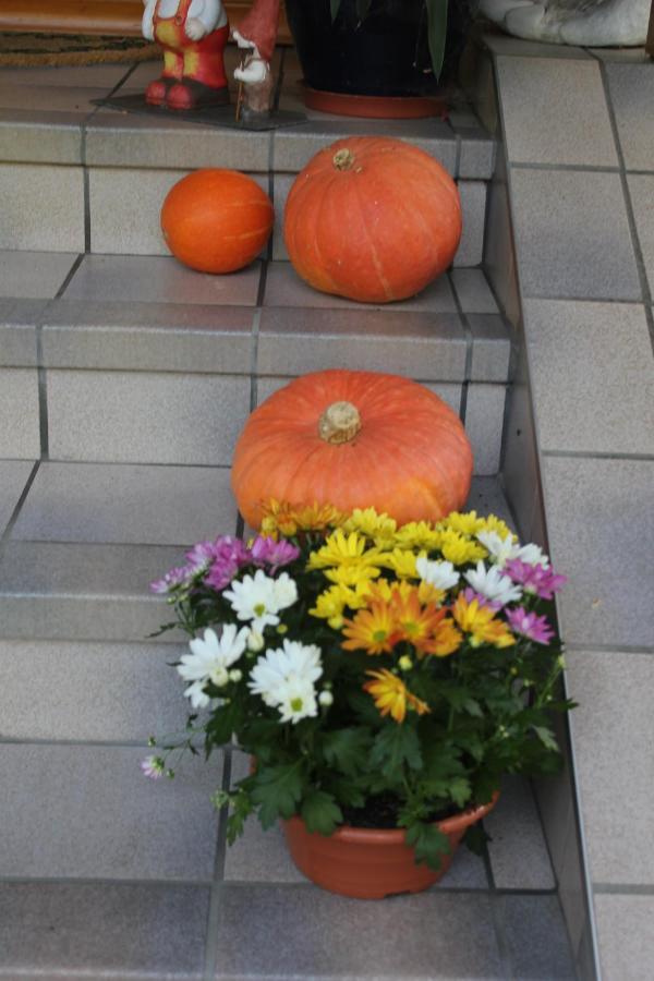 Fewo Strauss Ossiach Exterior foto